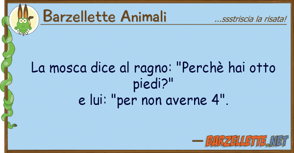 Barzellette Animali mosca dice ragno: "perchè hai ott