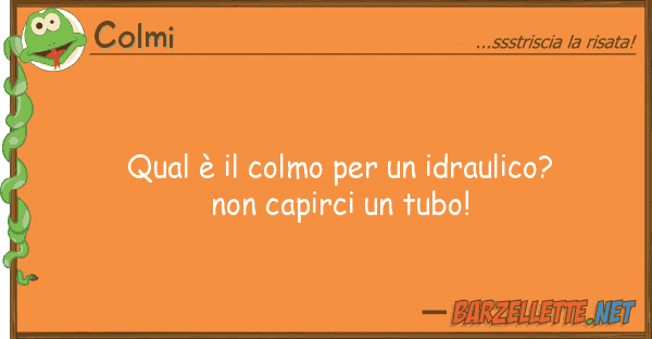 Colmi qual è colmo idraulico?