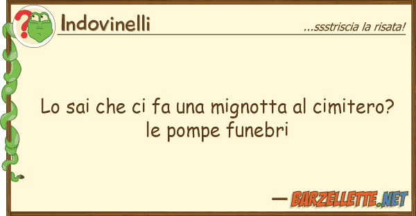 Indovinelli sai fa mignotta cimiter