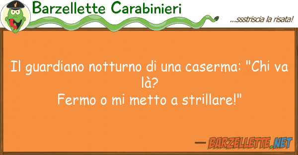 Barzellette Carabinieri guardiano notturno caserma: "c