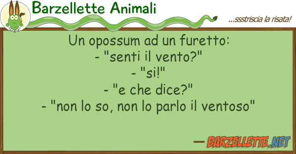 Barzellette Animali opossum furetto: - "senti v