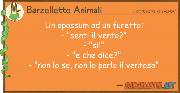 Barzellette Animali opossum furetto: - "senti v
