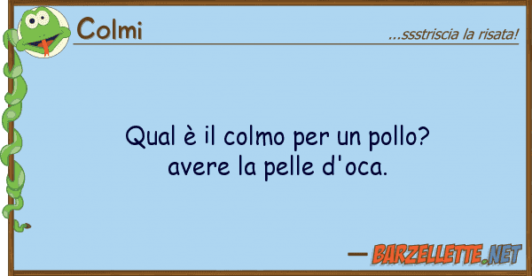Colmi qual è colmo pollo? avere