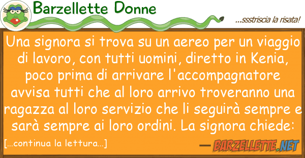 Barzellette Donne signora trova aereo