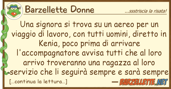Barzellette Donne signora trova aereo