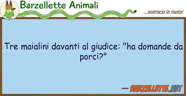 Barzellette Animali tre maialini davanti giudice: "ha dom