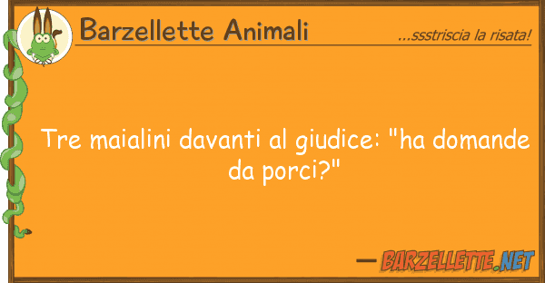 Barzellette Animali tre maialini davanti giudice: "ha dom