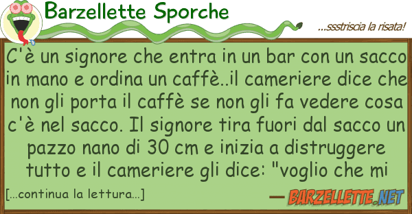 Barzellette Sporche c'è signore entra bar