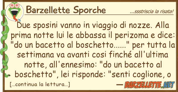 Barzellette Sporche due sposini vanno viaggio nozze.