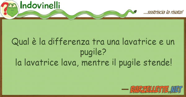 Indovinelli qual è differenza lavatrice