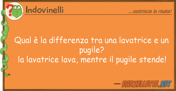 Indovinelli qual è differenza lavatrice