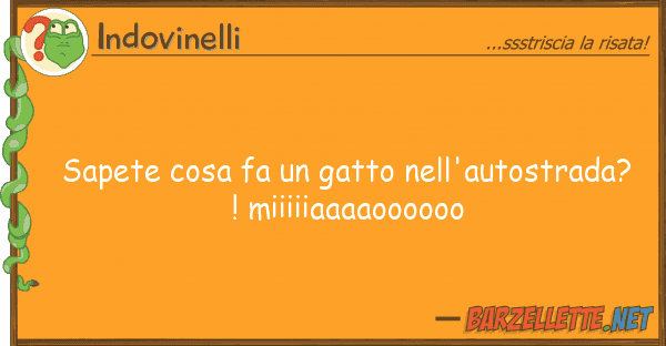 Indovinelli sapete cosa fa gatto nell'autostrada?