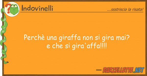 Indovinelli perchè giraffa gira mai? e