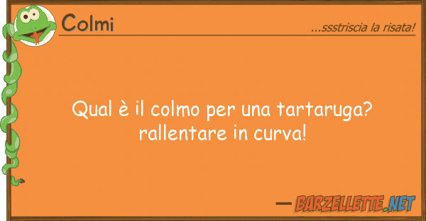 Colmi qual è colmo tartaruga? ral