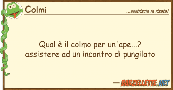Colmi qual è colmo un'ape...? assister