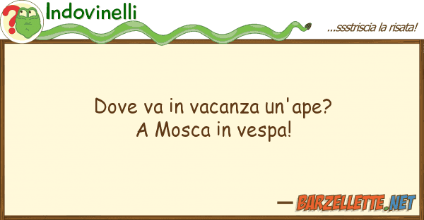 Indovinelli va vacanza un'ape? mosca ve