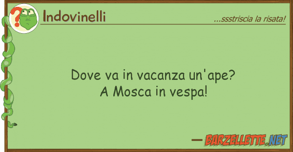 Indovinelli va vacanza un'ape? mosca ve
