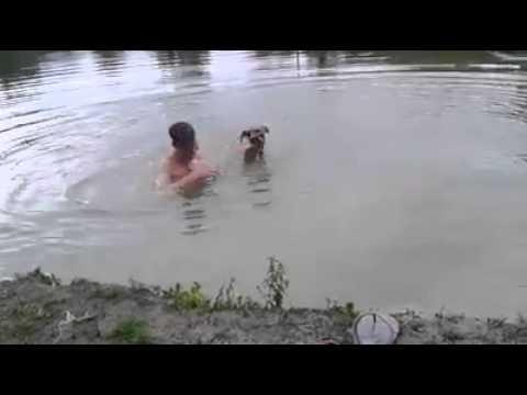 Vede il padrone in difficoltà in acqua e corre a salvarlo!
