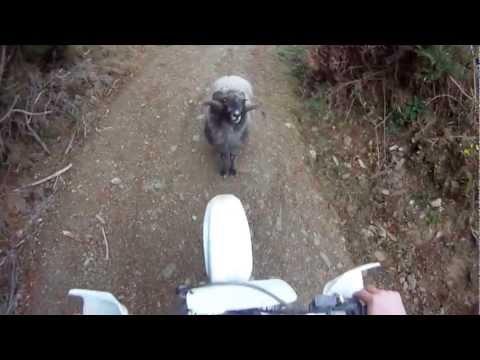 Guardate chi ostacola il passaggio di questo motociclista!