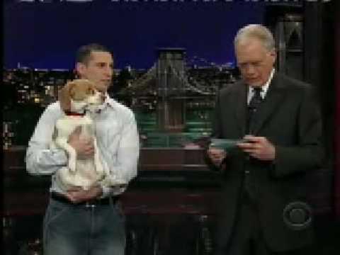 Il cane che si finge morto in tv!