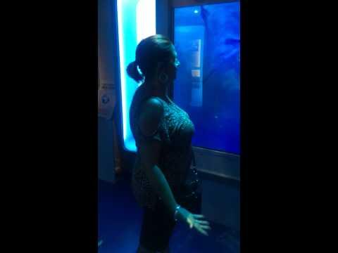 Rischia la vita in un acquario..lo squalo attacca al vetro!