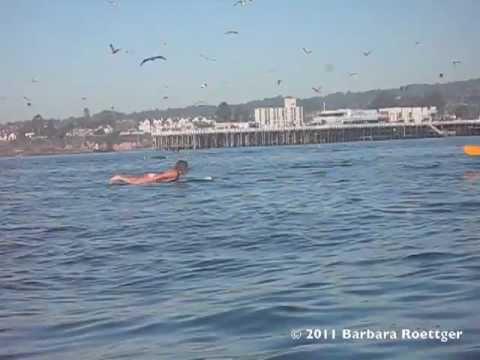 Una surfista che rischia di essere colpita da una balena