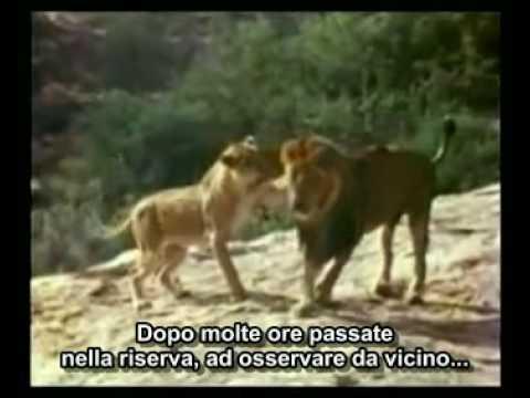 Che emozione questo video!