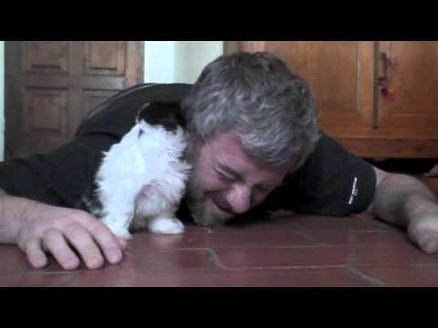 Chiunque si sdraierebbe per ricevere l'amore di questo cane
